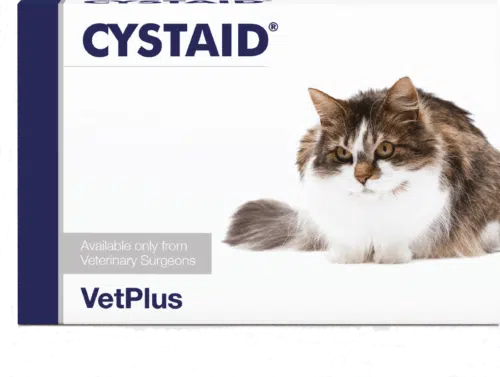Cystaid Vitalcat kissojen virtsatiteongelmiin - Inushop.fi