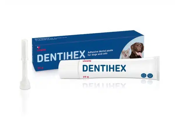 Dentihex 20g – Geeli suuhygienian hoitoon koirille ja kissoille