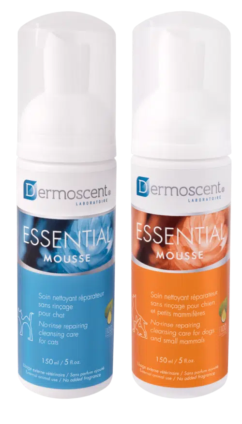 Dermoscent essential mousse dog 150ml