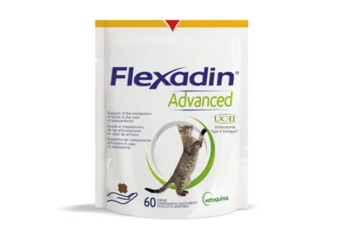 Flexadin advanced kissoille 60 tbl