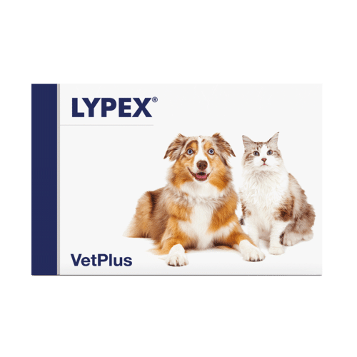 Lypex kaps 60kpl ruoansulatusta edistävä kapseli
