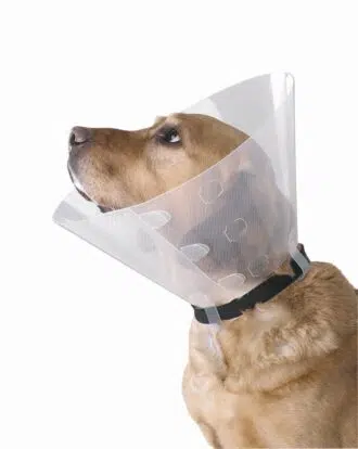 Buster hoitokauluri kirkas - Inushop.fi
