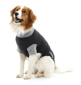 Buster toipilaspuku kaikki koot - Inushop.fi