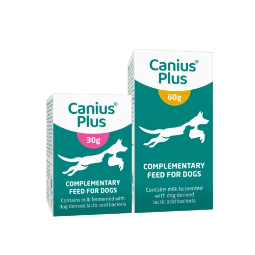 Canius Plus - Image 3