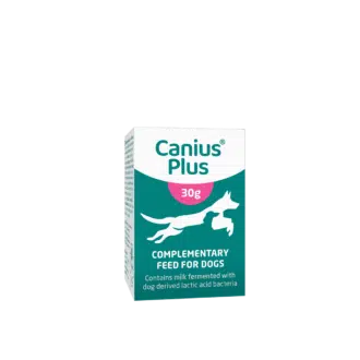 Canius Plus