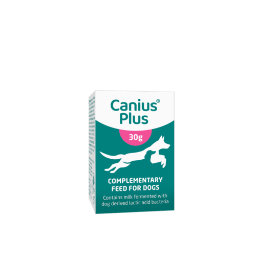 Canius Plus