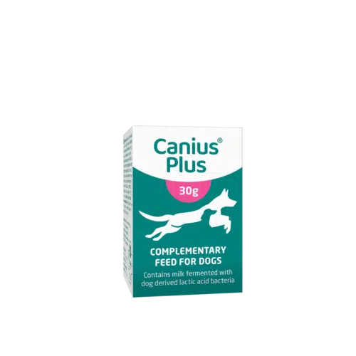 Canius Plus