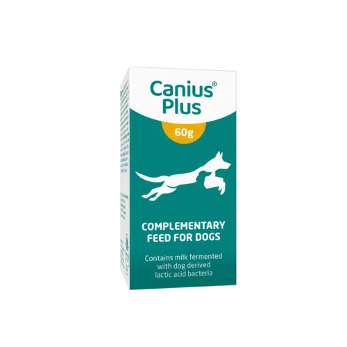 Canius Plus - Image 2