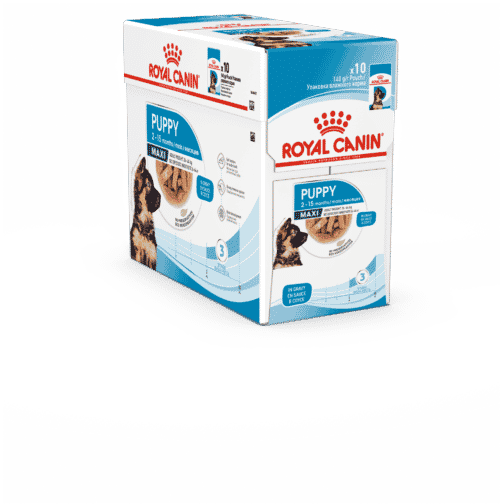 Royal Canin Maxi Puppy Chunks in Gravy Pouch 10x140g