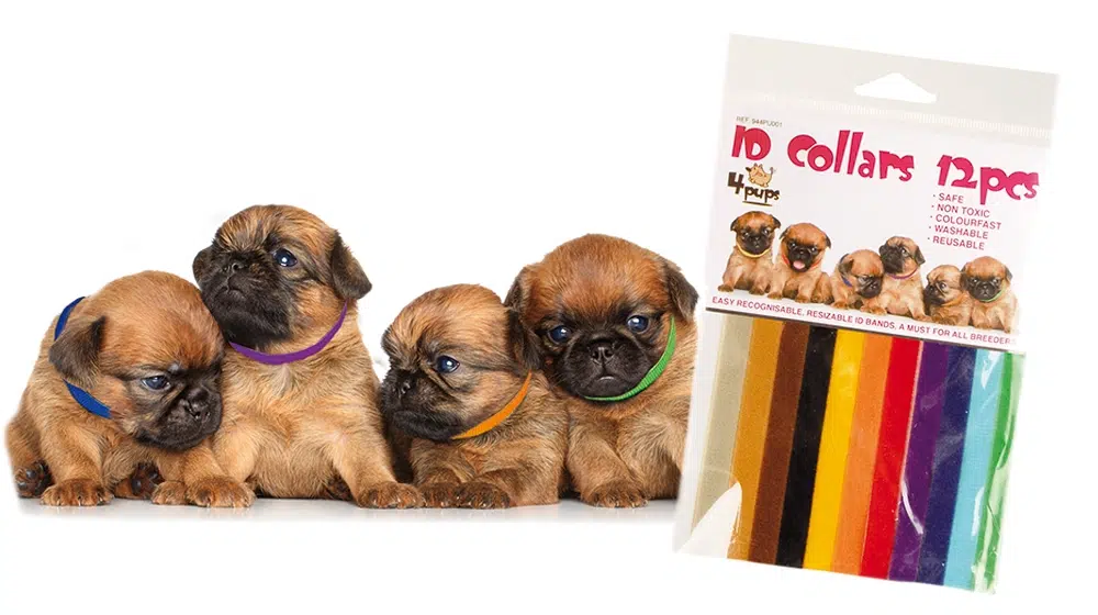 Transgroom värikoodi kaulapannat pennuille - Inushop.fi