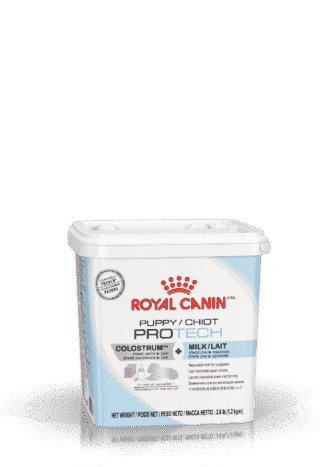 Royal Canin maidonkorvike, emonmaidonvastike, äidinmaidonkorvike - Inushop.fi