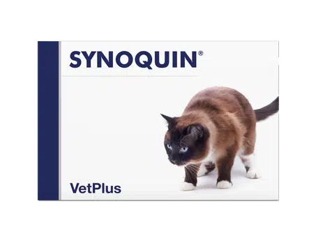 Synoquin Cat 30 kaps