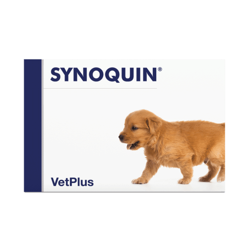 Synoquin growth 60tabl