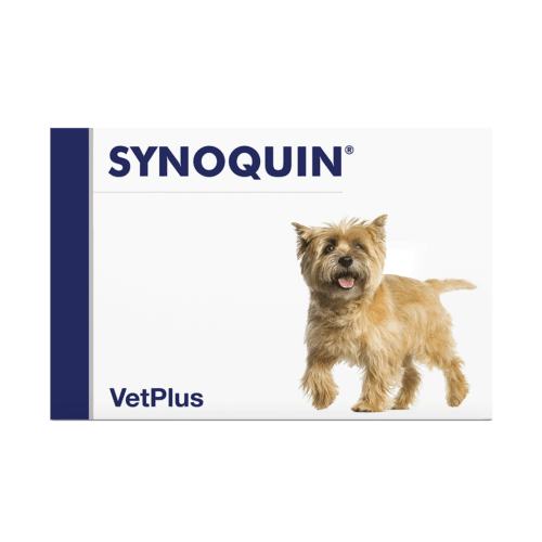 Synoquin small breed 30 tabl