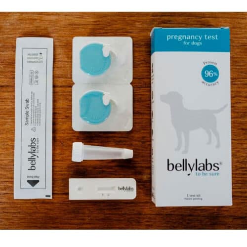 Bellylabs Tiineystesti koirille - Image 6