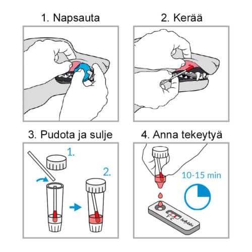 Bellylabs Tiineystesti koirille - Image 2