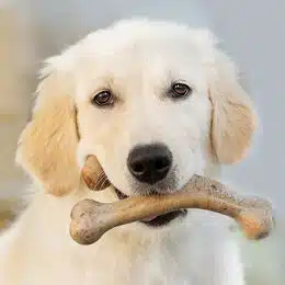 Benebone Wishbone S-L - Image 3