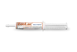 Zoolac MultiPaste - Akuutin ripulin hoitoon - Image 3