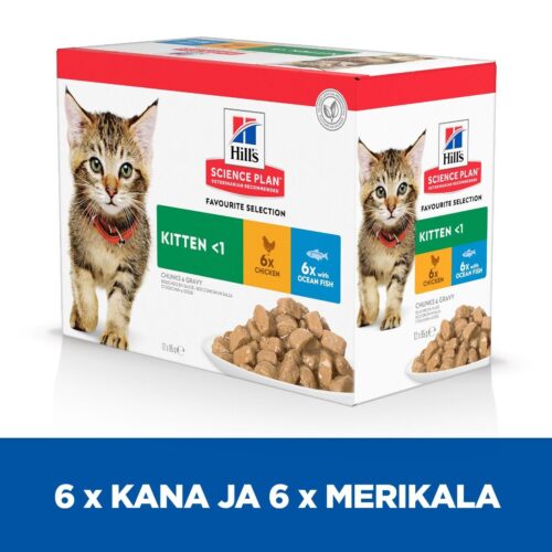 Hills SP ruoka kissanpennuille -Inushop.fi