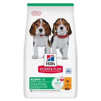 Hill's SP Puppy Medium Chicken