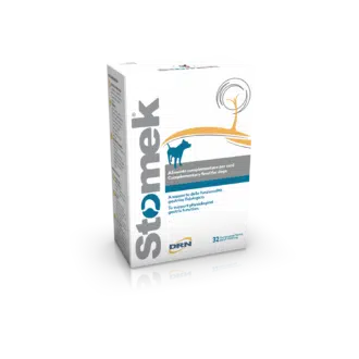 Stomek koiran mahalaukun toiminnan tukemiseksi - Inushop.fi