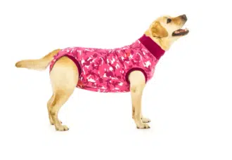 Haavapuku vaaleanpunainen - Inushop.fi