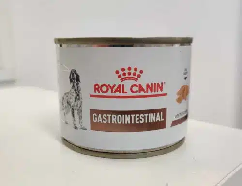 Royal Canin Gastrointestinal Loaf Can 12x200g koiralle