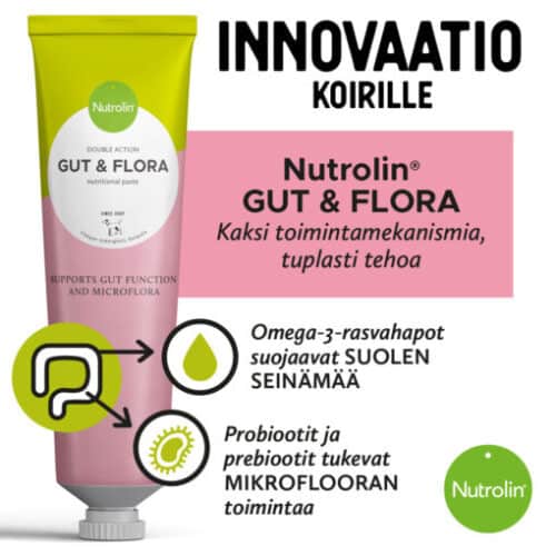 Nutrolin® GUT & FLORA -tahna 200g - Image 3