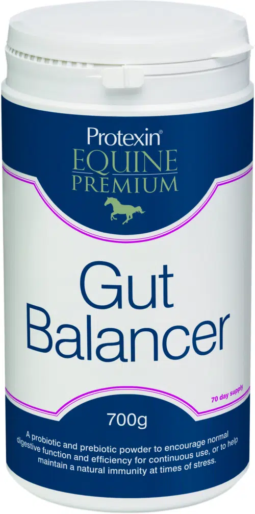 Equine Premium Gut Balancer hevosille 700g