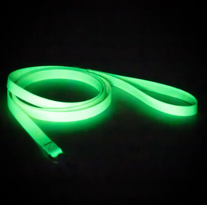 PAIKKA Glow Talutushihna Aqua - Image 3