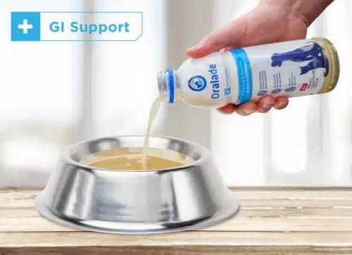 Oralade nesteytysjuoma koirille ja kissoille 500 ml - Image 3