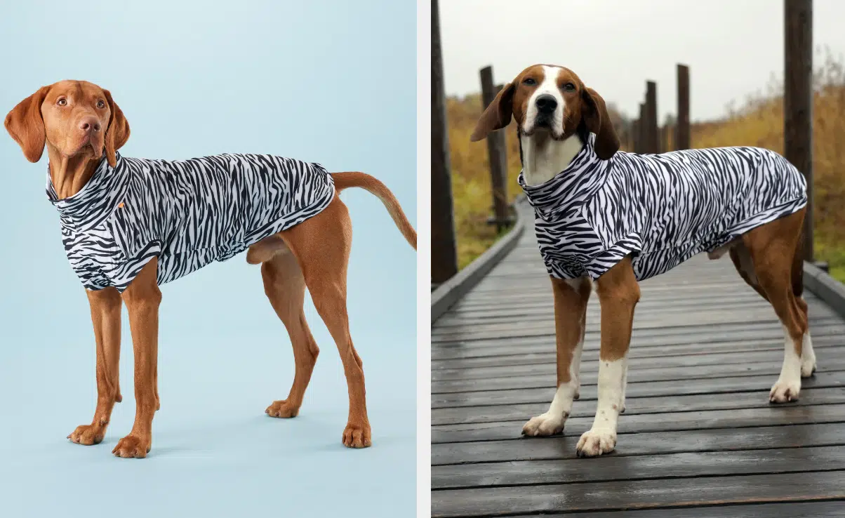 PAIKKA UV & Ötökkäpaita