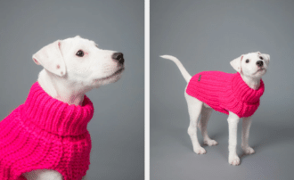 PAIKKA Knit Sweater hot pink