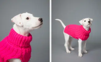 PAIKKA Knit Sweater hot pink