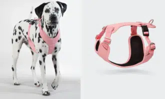PAIKKA Visibility valjaat Pink