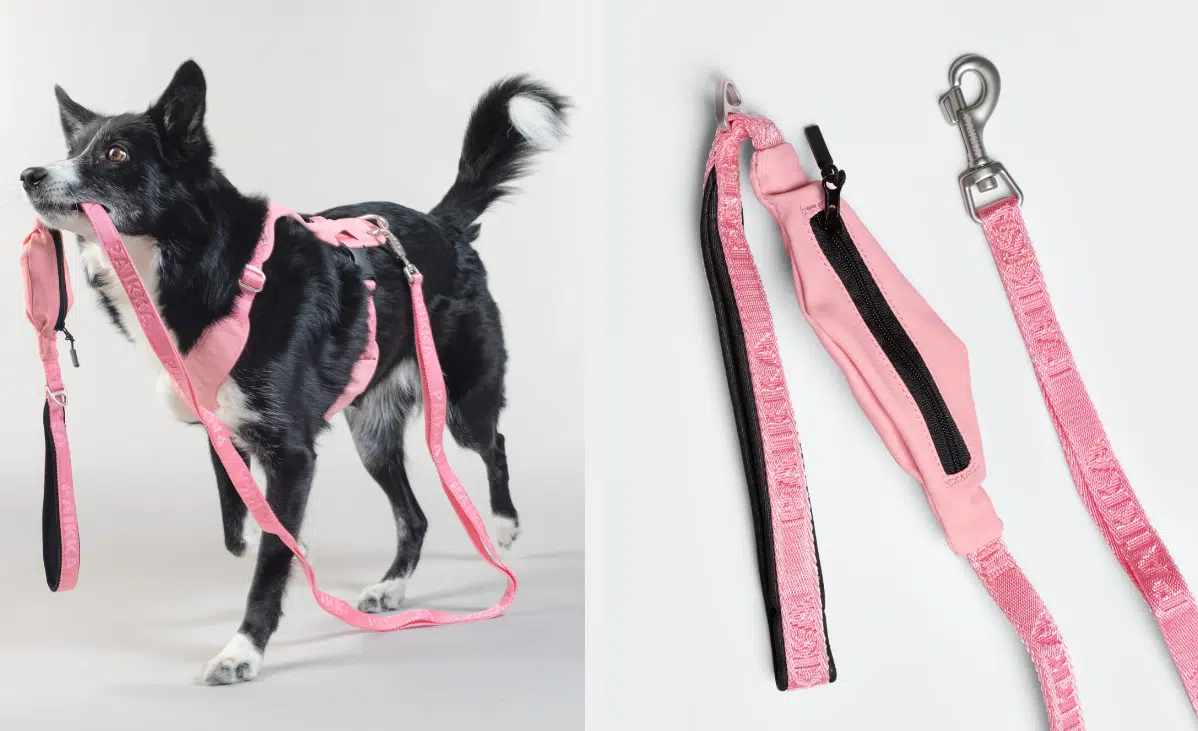 PAIKKA Visibility talutushihna Pink