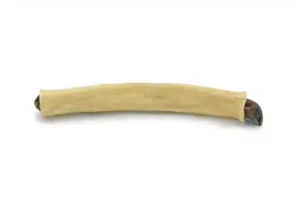 RAUH! Moose Bullet