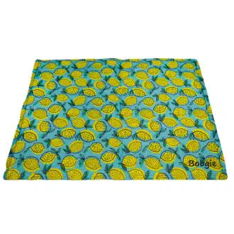 Boogie Koiran viilennysalusta