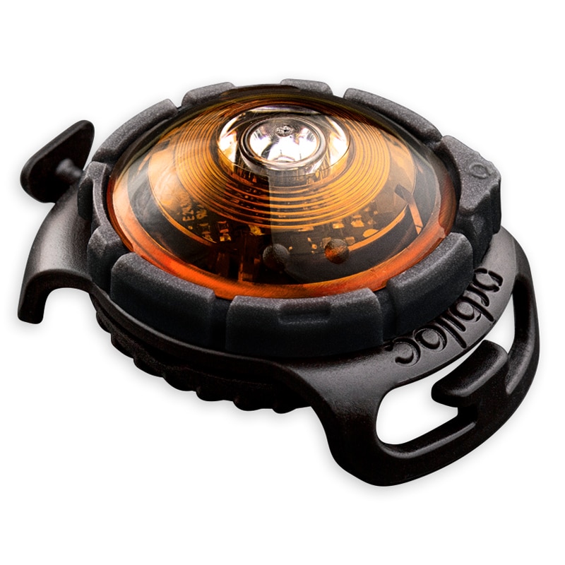 Orbiloc Dual Turvavalo, meripihka