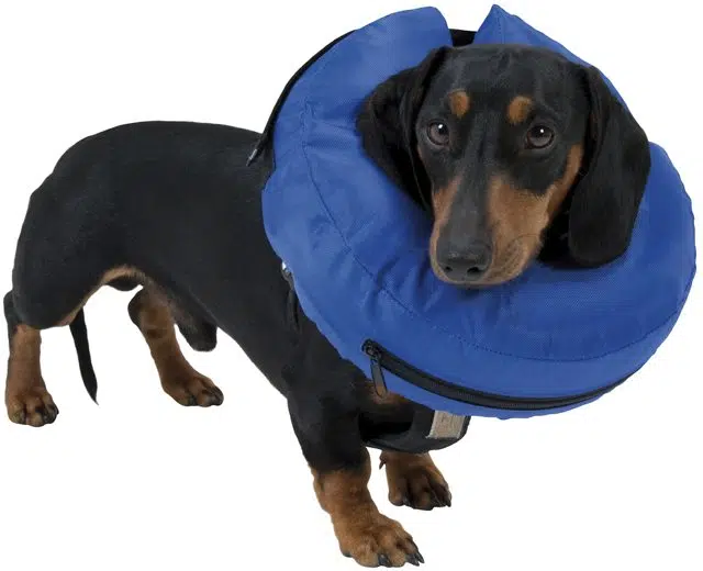 Buster puhallettava kauluri nylon