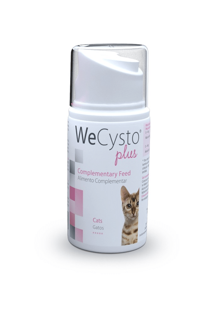 WeCysto Plus oraaligeeli 50 ml