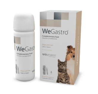 WeGastro oraalisuspensio 60 ml