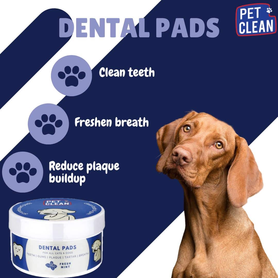 Pet Clean Dental hampaidenpuhdistuspyyhe 50 kpl - Image 3