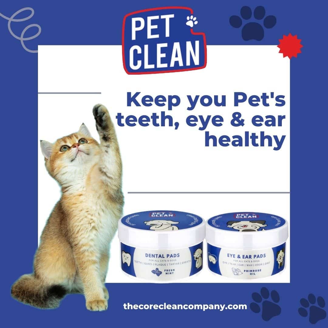 Pet Clean Dental hampaidenpuhdistuspyyhe 50 kpl - Image 5