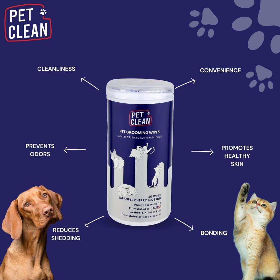 Pet Clean yleispuhdistuspyyhe lemmikille 50 kpl - Image 4