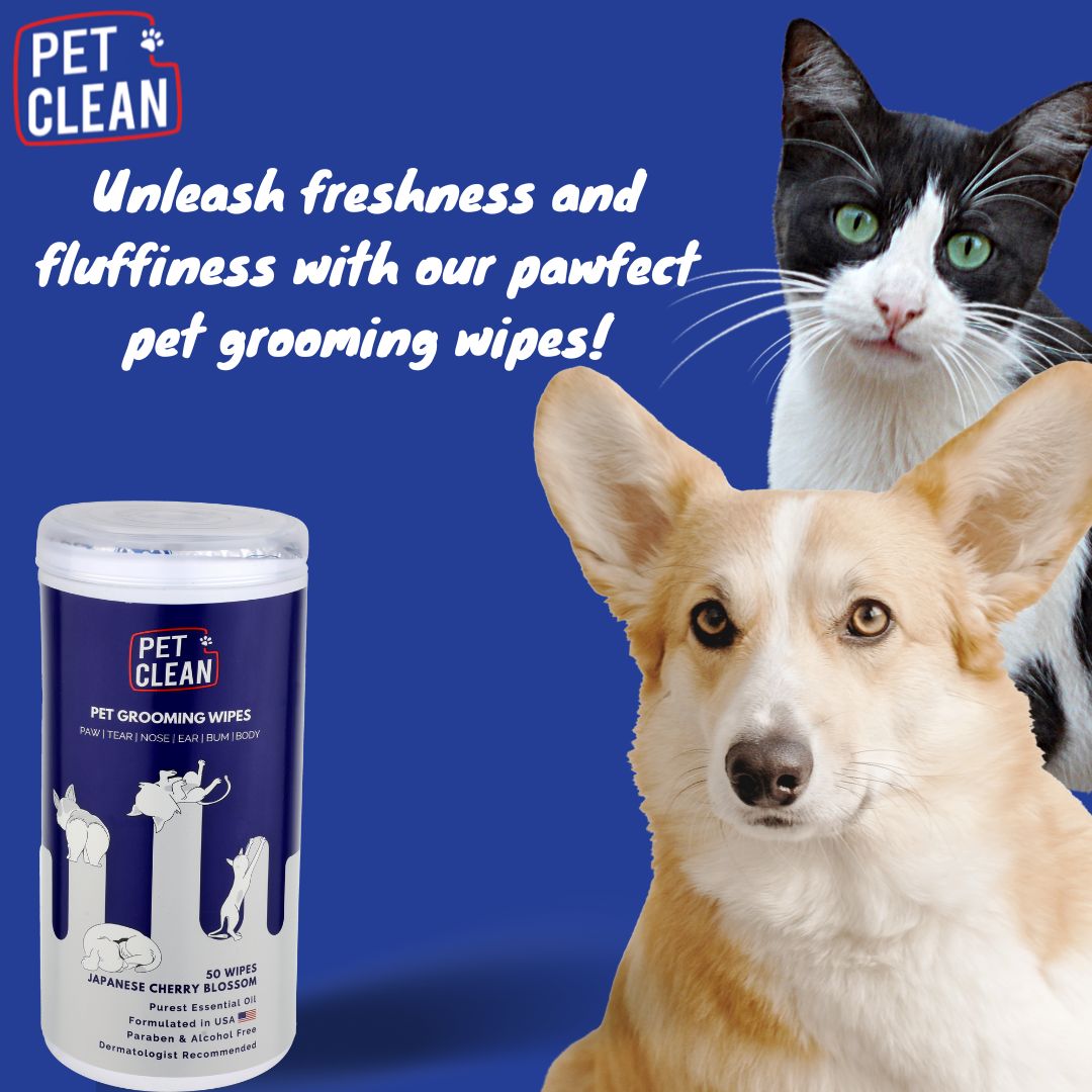 Pet Clean yleispuhdistuspyyhe lemmikille 50 kpl - Image 5