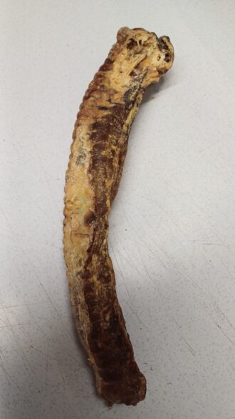 Kaikenkarvaiset Naudan henkitorvi 35cm 1 kpl