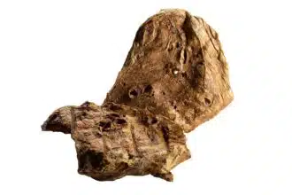 Kaikenkarvaiset Naudan keuhko 1kg