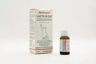Lacto-B Cat Gut, kissan omia pro- ja postbiootteja sisältävä öljy 10 ml