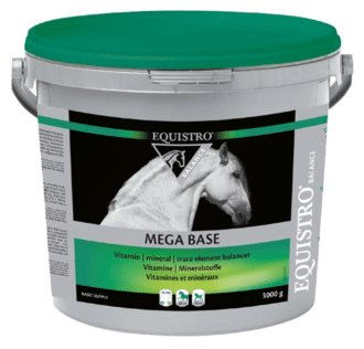 Equistro Mega Base
